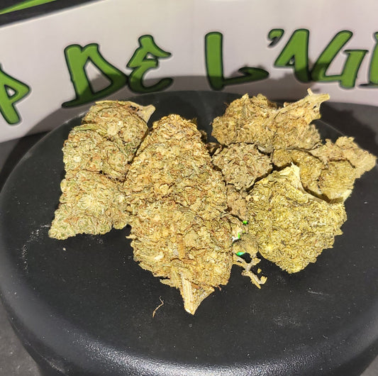 B-52 - INDOOR PREMIUM - 13.8 % CBD - 10-OH