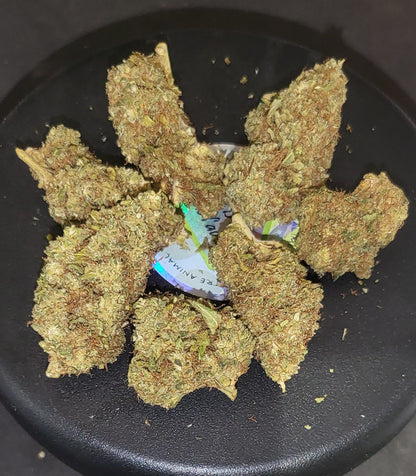BLUE DREAM - INDOOR PREMIUM - 13.8 % CBD - 10-OH-HHC