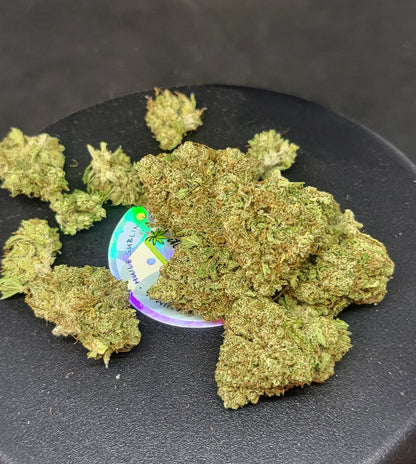 CRITICAL - INDOOR PREMIUM - 16.8 % CBD
