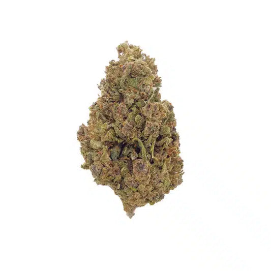 Mango Kush CBD – Indoor- 14% CBD