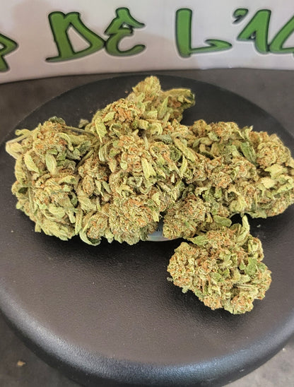 MIMOSA - INDOOR PREMIUM - 14 % CBD