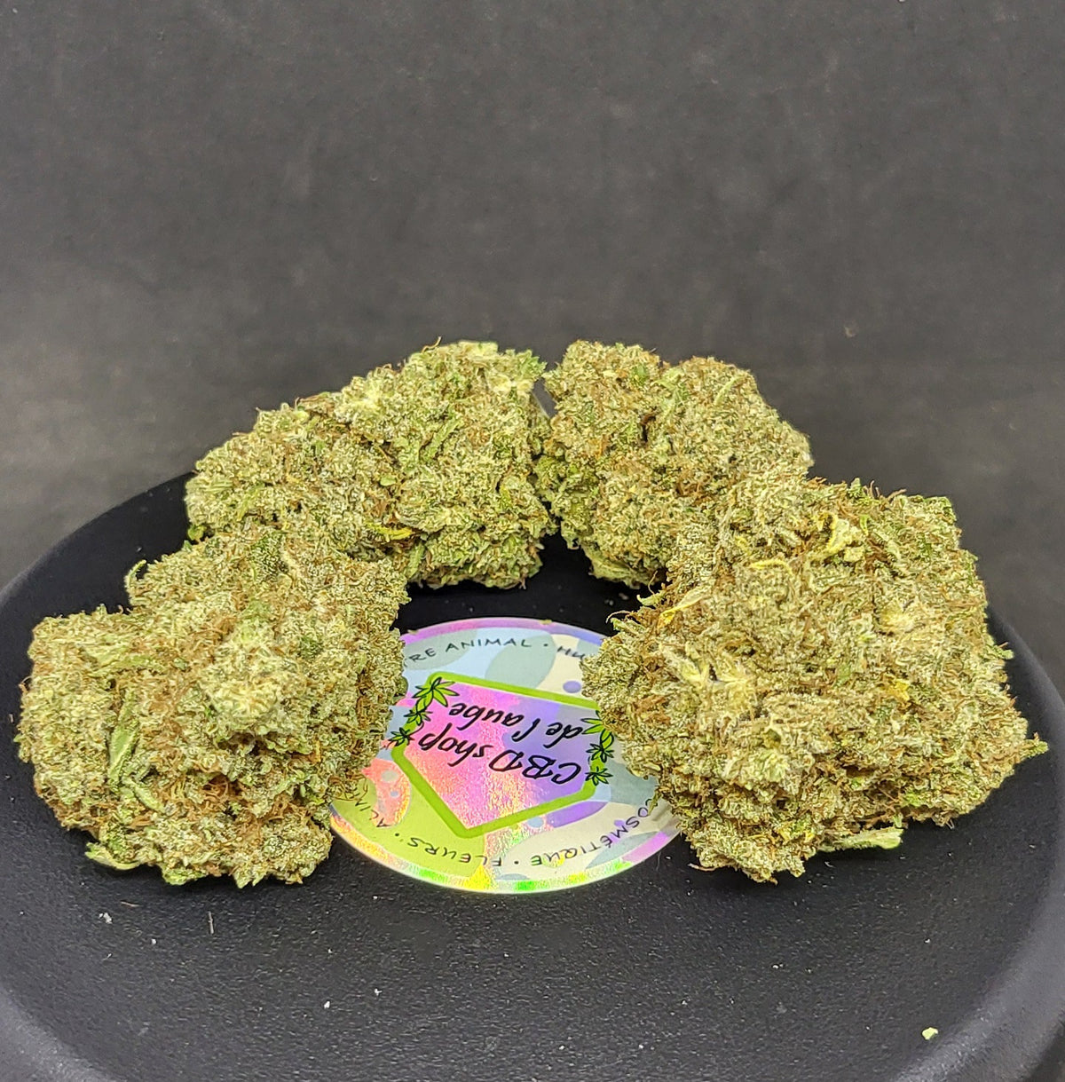 CRITICAL - INDOOR PREMIUM - 16.8 % CBD - Nature&Terpènes Shop CBD chanvre france