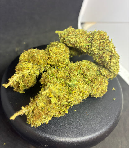 SSH + - 14.3 % CBD - 10 OH-HHC