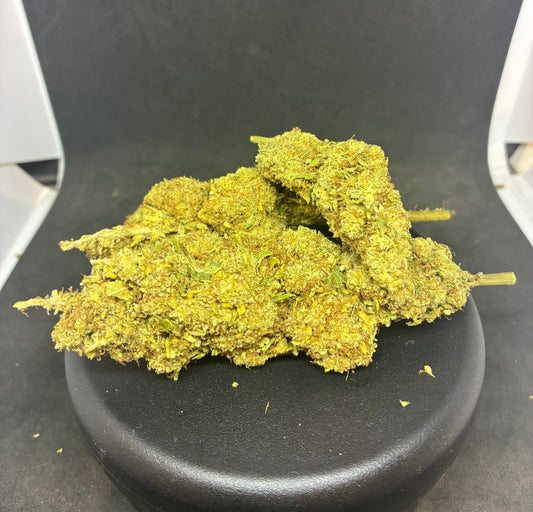 SSH + - 14.3 % CBD - 10 OH-HHC