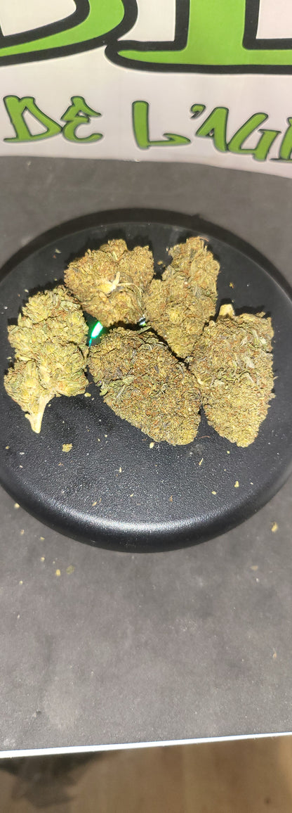 SKITTLES - INDOOR PREMIUM - 14 % CBD - 10-OH-HHC