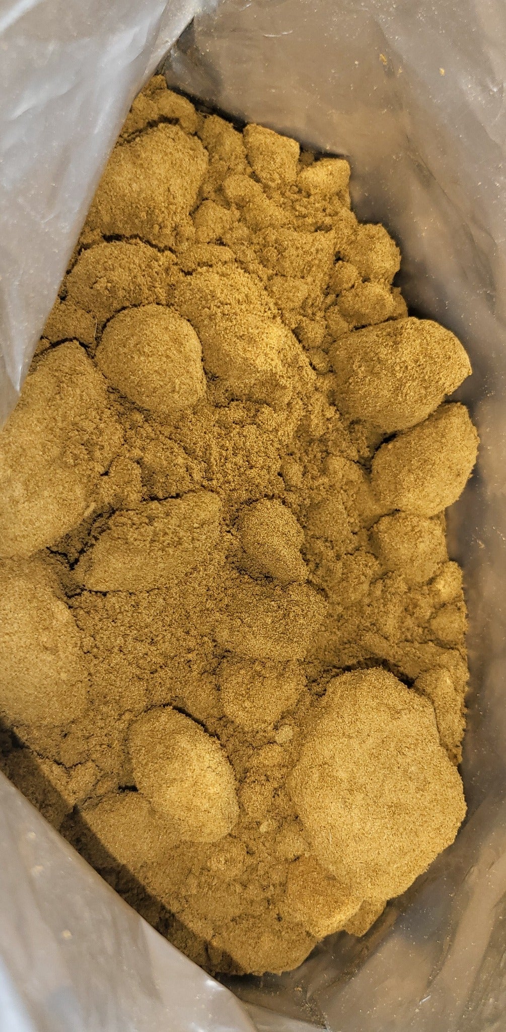 Art Pollen 2026, détail texture fine et granuleuse