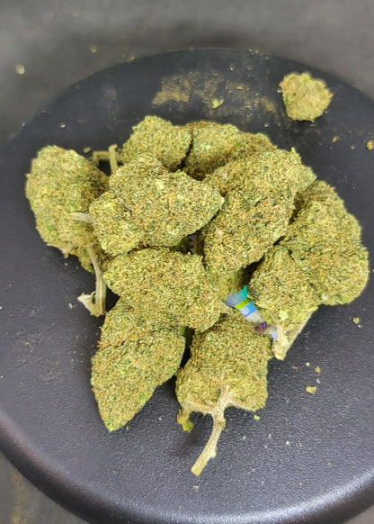 Gelato Kush Indoor Premium 14,2 % CBD