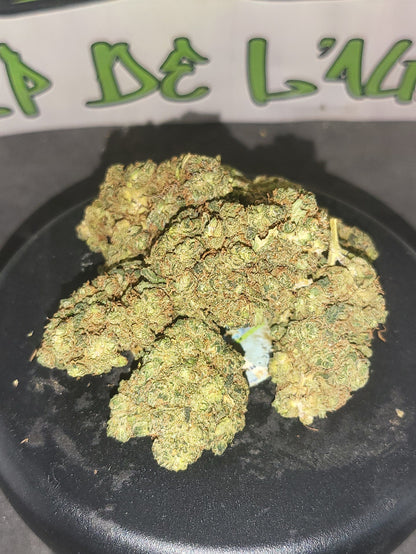 Plutonium suisse Indoor Premium 15 % CBD + 10-OH