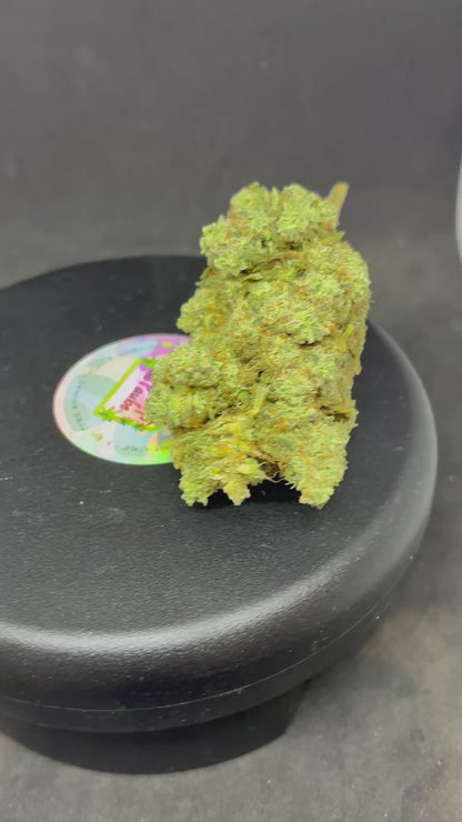 G 13 - INDOOR PREMIUM - 16.2 % CBD
