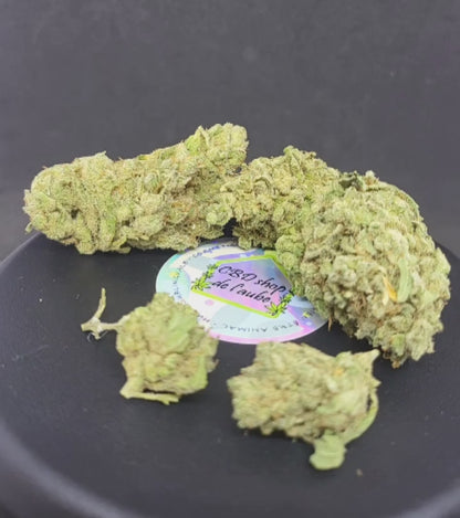 V+ - 17.2 % CBD -