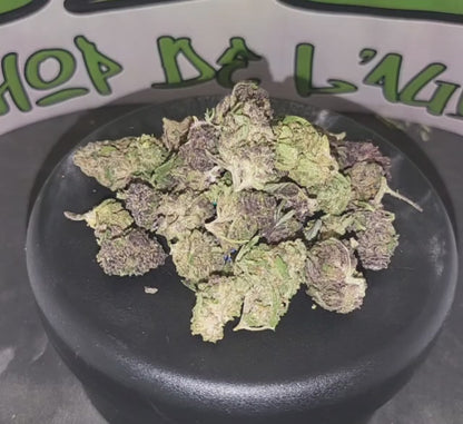 TROPICAL DREAM - SMALL BUDS - CBD 13 %
