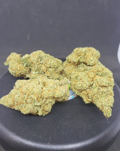 CRITICAL - INDOOR PREMIUM - 16.8 % CBD