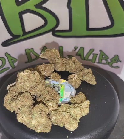 STRAWBERRY BIO - INDOOR PREMIUM - 12.8 % CBD - Certifié AB