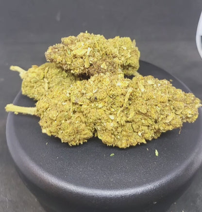 HQ + - INDOOR PREMIUM - 14.7 % CBD