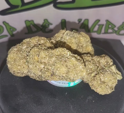 LEMON HAZE FROZEN - INDOOR PREMIUM - 14.2 % CBD - 10-OH-HHC