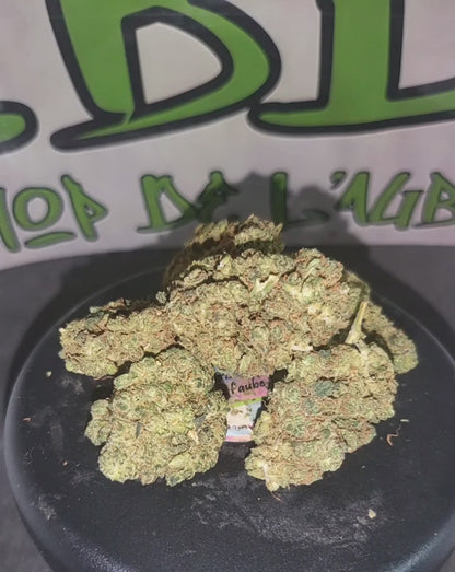 PLUTONIUM 🇨🇭 - Indoor Premium - 15 % CBD + 10-OH