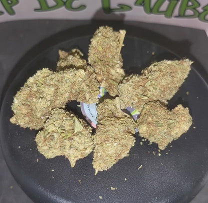 BLUE DREAM - INDOOR PREMIUM - 13.8 % CBD - 10-OH-HHC
