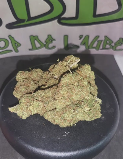 SKYWALKER 🇨🇭 - Indoor Premium - 14,7 % CBD + 10-OH