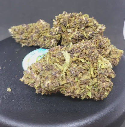 PURPLE - INDOOR PREMIUM - 11.6 % CBD -