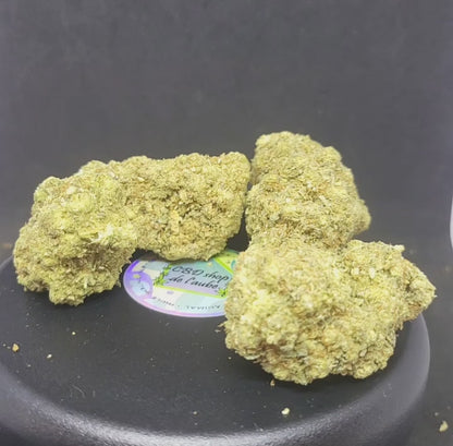 LEMON POP FROZEN + - INDOOR PREMIUM - 14.8 % CBD -
