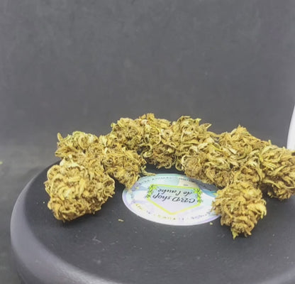 NLX - OUTDOOR - 12.7 % CBD
