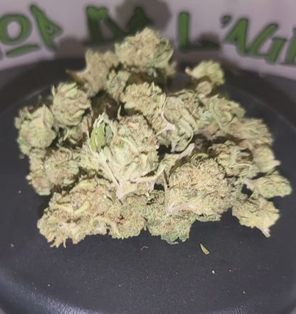 KTPT - SMALL BUDS - CBD 12.7 %