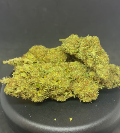 SSH + - 14.3 % CBD - 10 OH-HHC
