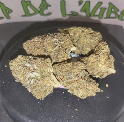 SKITTLES - INDOOR PREMIUM - 14 % CBD - 10-OH-HHC