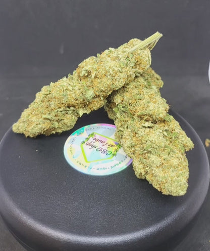 LEMON POP - INDOOR PREMIUM - CBD 14.8 %
