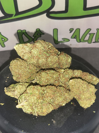 Urugayenne suisse Indoor Premium 14,5 % CBD + 10-OH