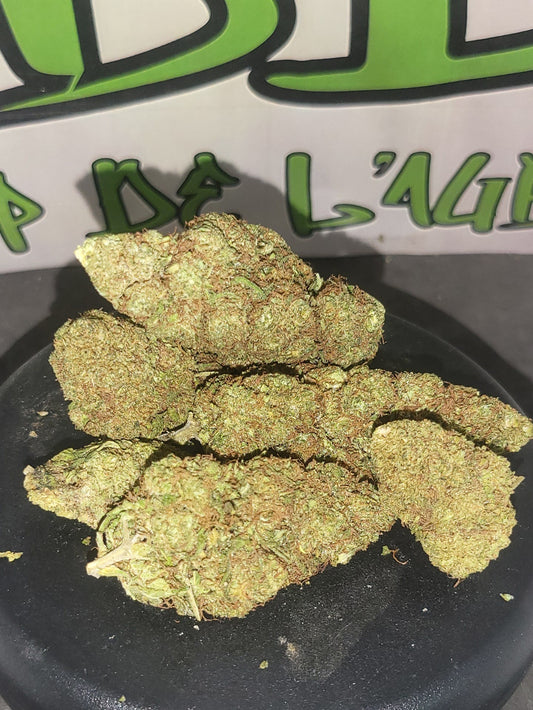 Urugayenne suisse Indoor Premium 14,5 % CBD + 10-OH